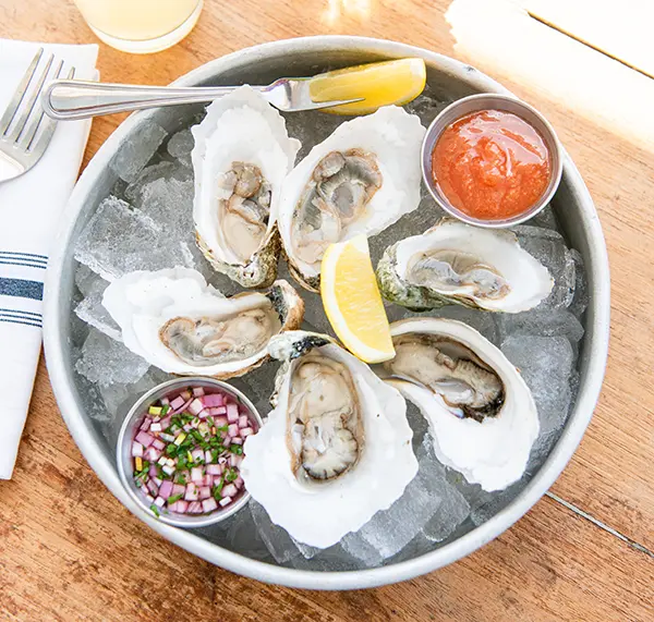 Oysters on the Half Shell