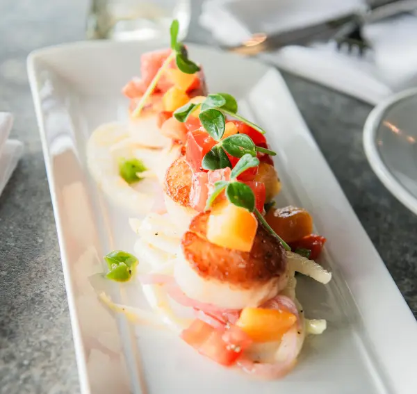 Scallops